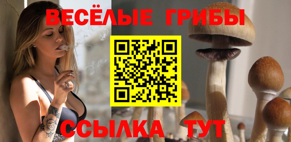 как найти закладки  Псилоцибиновые грибы прущие грибы  Вход с VPN  Ревда 